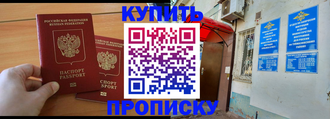 прописка штамп в Коле